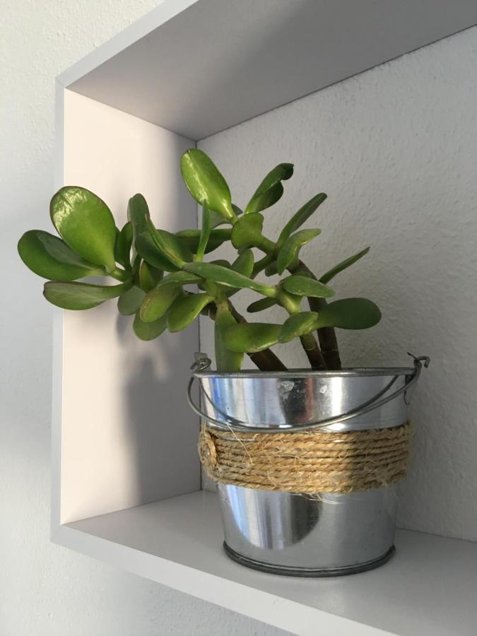 Apartamentos Surest كالا إن بلانيس المظهر الخارجي الصورة